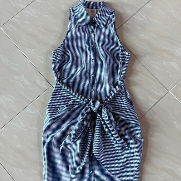 2870 NWT Cinq à Sept Gaby sleeveless collared shirt dress size 2 - Picture 1 of 8